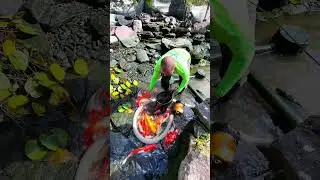 Ethical Fish-Handling! 🕺🐠🐠