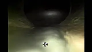 4310 Loomis Ave Sewer line scope 01/19/2026