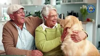 Hosting a Successful Pet Adoption Event: Essential Tips for Connecting Pets with Loving Homes [4K]