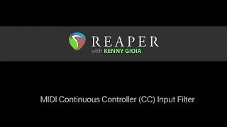 MIDI Continuous Controller (CC) Input Filter in REAPER