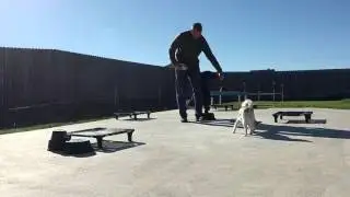 Swing Heel Basics (demonstration)