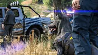 ПОГОНЯ ЗА ПИКАПОМ! — GTA 5 ROLEPLAY #291 (ПОЛИЦИЯ)