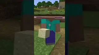 Minecraft #1302