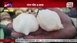তাল শাঁস এ মজেছে মন Delighting in Palm Fruit Jelly