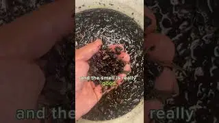 How to make organic fertilizer #soilregeneration