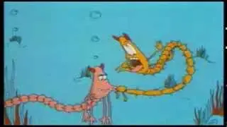 Beastly Behaviour - The Marine Bristleworm
