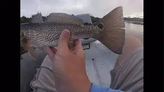 Slam Shady PaddleTails are UNSTOPPABLE! Snook and Redfish - SouthWest Florida Fishing