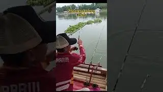 Spot Baru Yang lagi Viral || Spot Mariuk Lapak Gunil #fypvideo#videoviral#shortsvideo