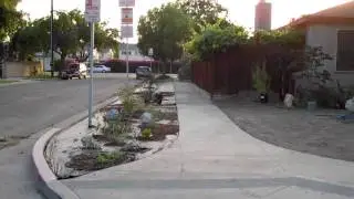 Los Altos Neighbor takes advantage of City of Long Beach new program Lawn To Garden