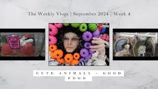 Stuck in a Car Wash & Halloween Hunt at Dollar Tree & Walmart | Cute Animals & Toy Search!