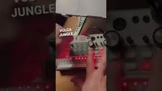 Korg volca sample 2 jungle .  #junglednb #korgvolcasample #volcajam