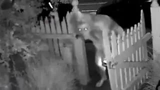 Real American Hauntings Witnesses Still Talk About