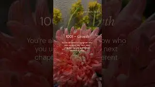 Angel Number 1001 - Growth