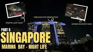 🇸🇬 Part 5: Spectra Light Show, Garden Rhapsody & FREE Top Deck Observatory Hack at Marina Bay Sands!