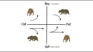 Options Trading Basics