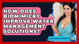 How Does Biomimicry Improve Water Management Solutions? - Water Science For Everyone