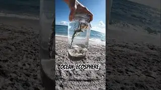 Ocean ecosphere..what will be discovered?