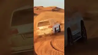 Desert Safari trip #visitqatar #dubai #qatar #desertsafari #desert #explore #safari #shorts #sand