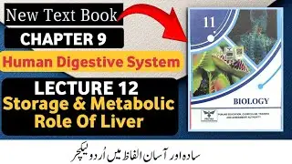 Class 11 Biology New Book 2025 | Chapter 9 | Storage & Metabolic Role of Liver