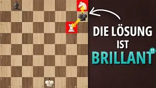 Finde den EINZIGEN Zug, der gewinnt!