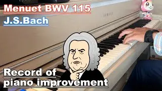 Menuet BWV 115 - J.S.Bach - Record of piano improvement - Adult piano practice
