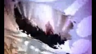 undisputed by a thousand shades of cold