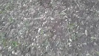 Мой адрес  дома