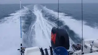 brezze mare 7.30 cantiere Conero  test