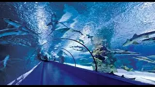 Antalya Aquarium 05.02.2020