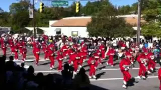 Hoke county marching bucks