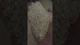 Rice is life #ricemillplant #riceislife #ricelove