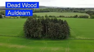 Dead Wood, Auldearn