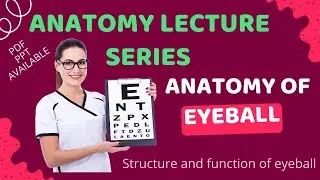 Anatomy of the Eyeball Explained | Lecture Series : Structure & Function