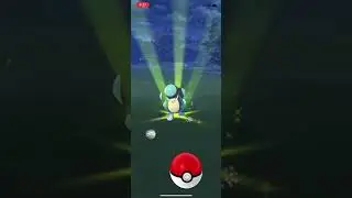 Wild Palpitoad - Pok&eacute;mon GO - Water Festival 2022