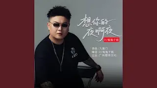 想你的夜啊夜