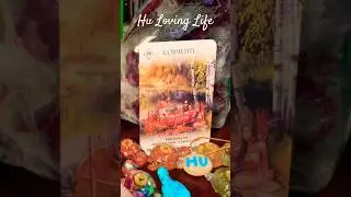 Elevate Your Vibe with Like-Minded Souls: Card Reading (Timeless)