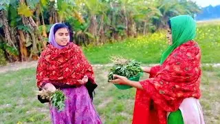 নিজেদের রসুন–পেঁয়াজের ক্ষেত থেকে বইত্তা শাক | অনেকদিন পর ক্ষেতের দেখা