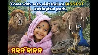 ଆସ ବୁଲିଯିବା India's Biggest Zoological park,#nandankananzoologicalpark #odisha#odishatourism #vlogs