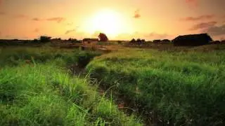 Pristine Africa