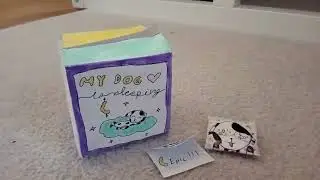 Unboxing my dog is sleeping BLIND BOX🐶