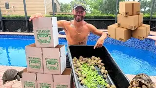 I SOLD All of My TURTLES & TORTOISES!!