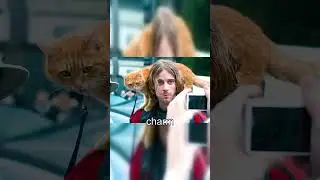 James and Bob the Cat: Redemption and Rebirth in Adversity