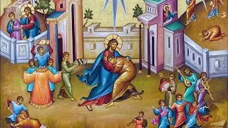 Sunday of the Prodigal Son, February 1, 2026. Matins & Divine Liturgy