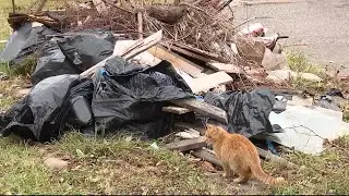 Detroit residents fed up with trash dumping pile on Sturtevant Street