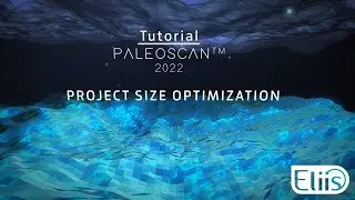 Tutorial -  PaleoScanᵀᴹ Project Size Optimization
