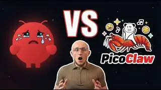 PicoClaw vs OpenClaw - Ultralekki osobisty asystent AI