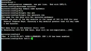 CISCO Router basic configuration with sub interface