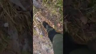 #asmr #dji #norway #roamingsouthernnorway #hike #walk #snow #shorts