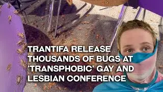 Trantifa attack gay and lesbian conference with thousands of insects as revenge for 'transphobia'