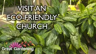 Visit a Green Church! | Garden Tour